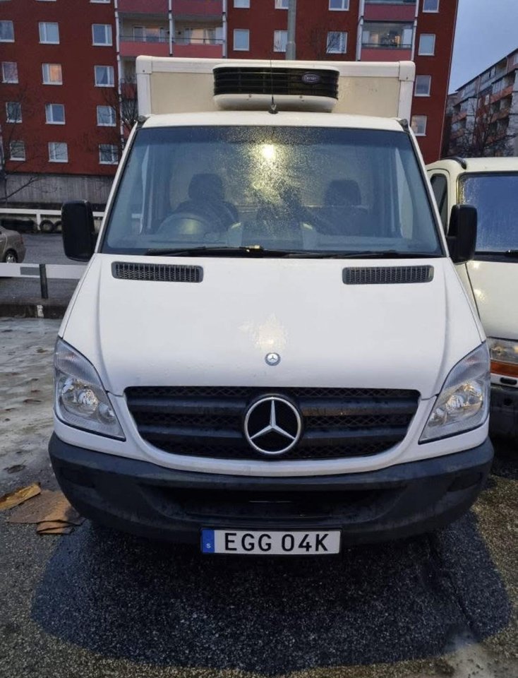 Mercedes-Benz Sprinter 313 Bl...
