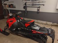 Lynx rave re 800