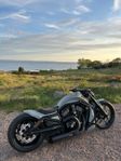 HD Nightrod vrscdx 2013