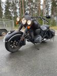 Indian Chief Dark Horse 