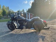Indian Dark Horse