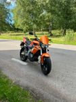 Derbi Gpr 50 Nude