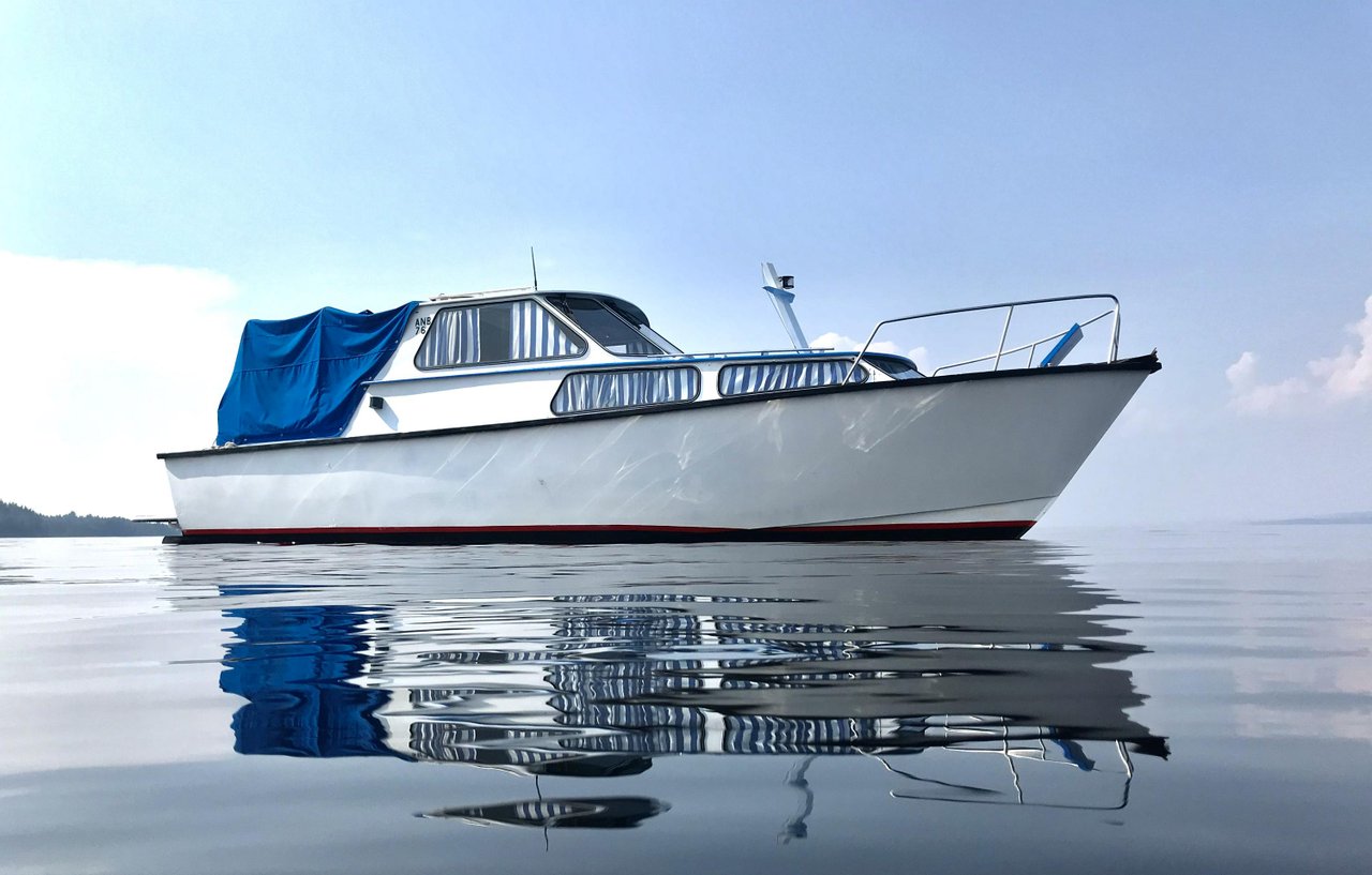 Ferrina 31