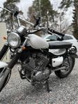 Yamaha virago 535 cafe racer 