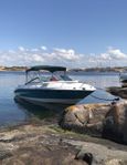 Sea ray DC 22