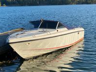 Daycruiser Dino 24
