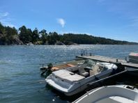 SeaRay 175 DC