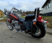 Suzuki intruder vs 800 gl