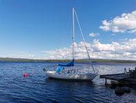 Albin Accent 26