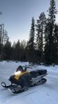 Tundra efi 2022