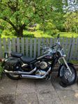 Kawasaki VN800 Classic