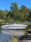 Sting 610 S All-inclusive Evinrude 150Hk E-tec