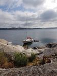 Albin 78