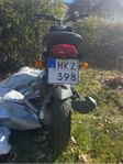 Ludix snake Furi moped -08