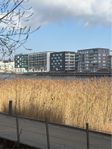 Söker båt plats i Hammarby Sjöstad eller Henriksdal 