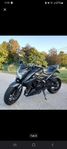 Suzuki gsx-s 1000
