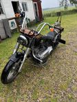 HD softail slim