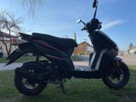 Moto CR T-Rex