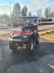 Kawasaki Brute Force 750