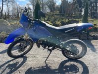 Rieju Drac RR 2003