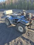 Suzuki King QUAD.
