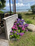 Sommarboende precis vid havet på Almö Camping