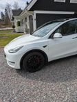Tesla Model Y Performance