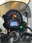 Triumph Scramler 900