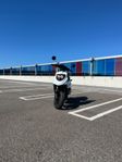 Big max 45km/h