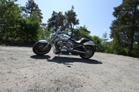 Harley Davidson V Rod