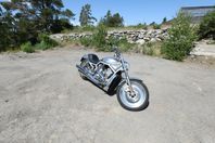 Harley Davidson V Rod