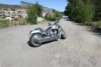Harley Davidson V Rod