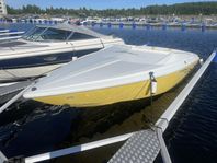 Baja Outlaw 20