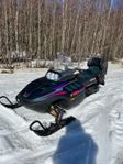 Arctic cat pantera 800 trippel 