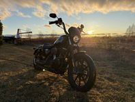 Harley-Davidson XL 1200NS Iron
