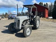 Grålle Ferguson TEF Diesel