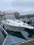 Sea Ray 270 Sundancer Refit