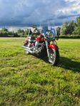 Kawasaki VN 900 Classic