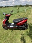 Btm Rebel 08