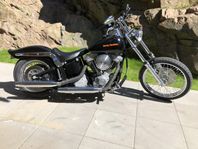 Harley Davidson Softail