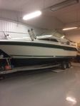 Sea ray Sundancer
