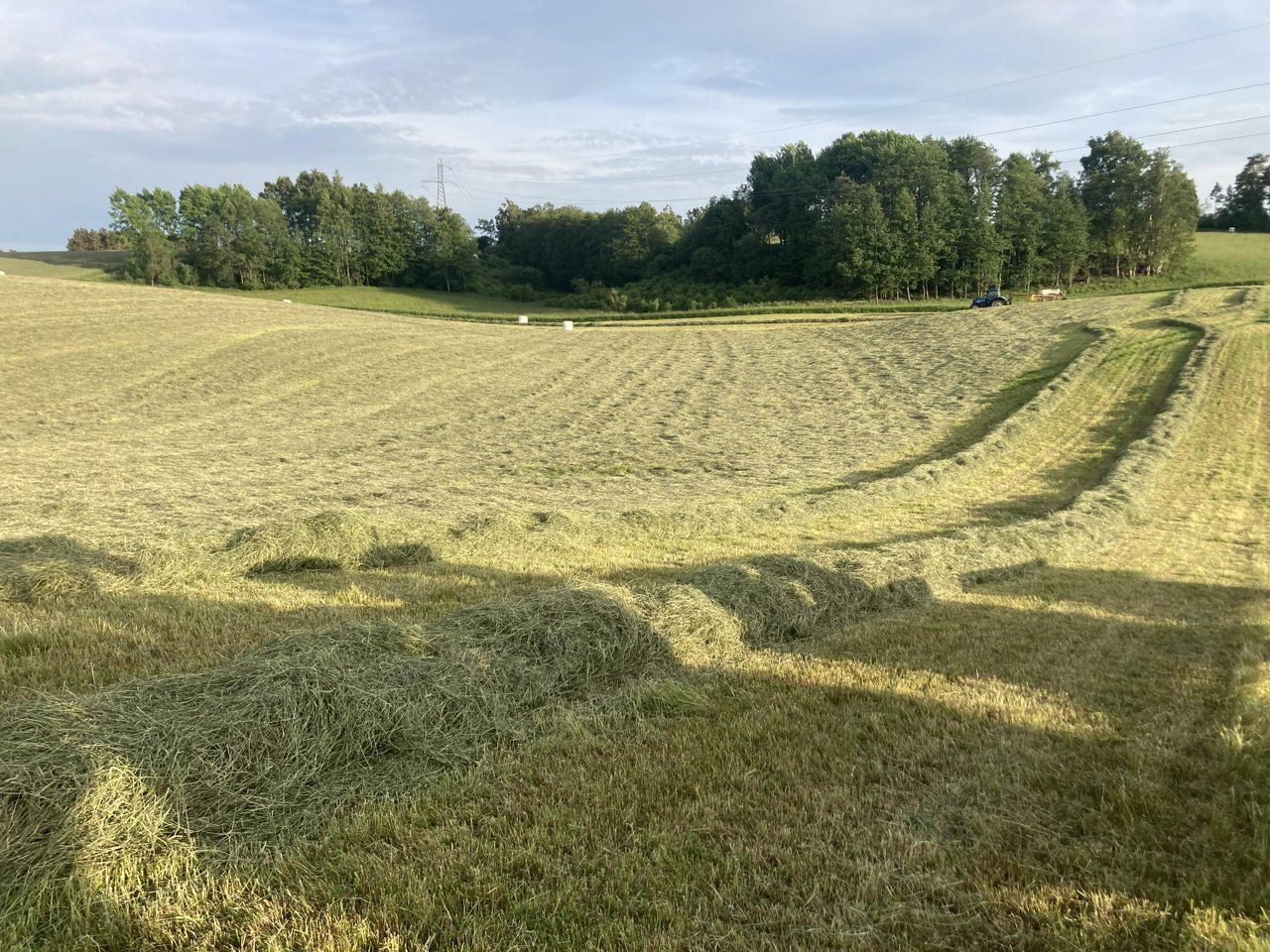 Hösilage
