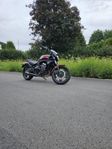 Kawasaki vulcan S performance 