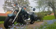 H-D Fat Boy