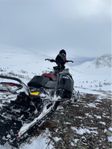 Skidoo freeride 146