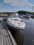 Sea Ray 260 Sundancer 2001 ny utbytesmotor