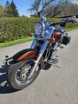 Kawasaki VN1500 Classic 2001