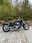 Kawasaki VN 1500 Mean Streak