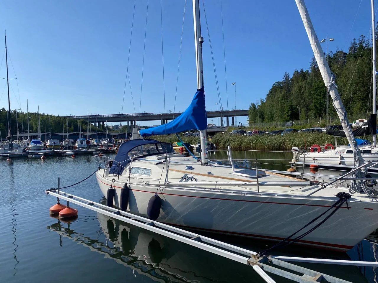 Fin Scampi 30 image