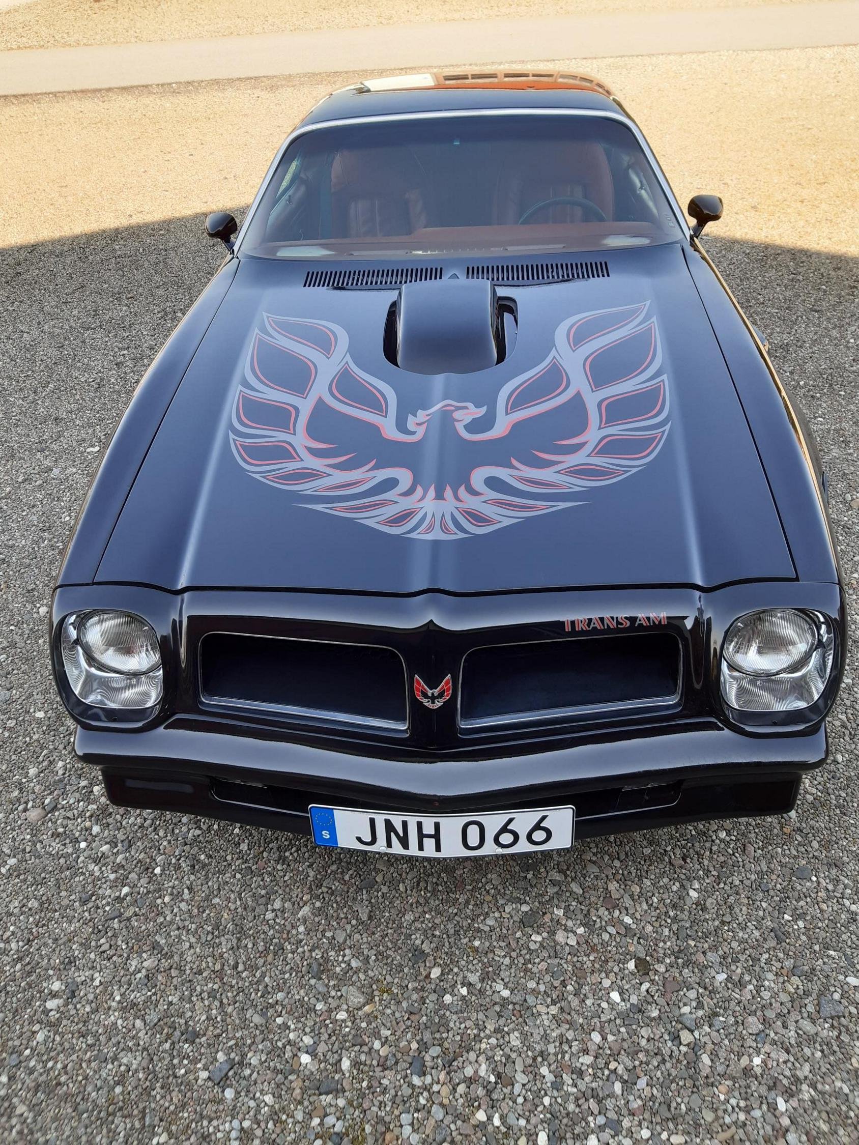 Pontiac Firebird Trans Am 6.6 V8 Hydra-Matic, 188hp, 1975
